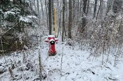 Taylorwoods Boulevard Innisfil Ontario L9S 2E9