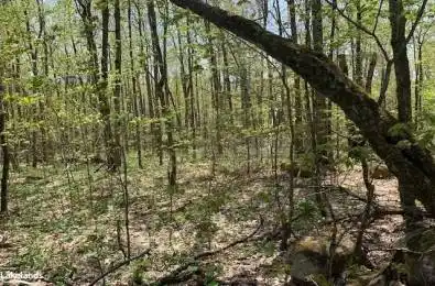 2376 SOUTH HORN LAKE Road Ryerson Ontario P0A 1L0