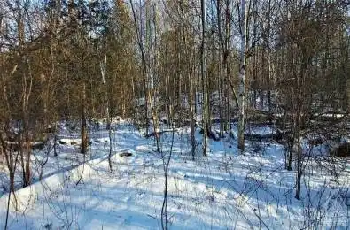 NORTH Lt 1 Con 2 OTTER LAKE Road Rideau Lakes Ontario K0G 1L0