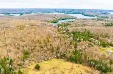 Blairhampton Road Minden Hills Ontario K0M 2K0