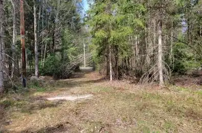 1469 YEARLEY Road McMurrich/Monteith Ontario P0A 1Y0