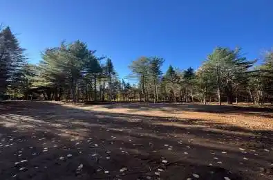 1897 Blairhampton Road Minden Hills Ontario K0M 2K0