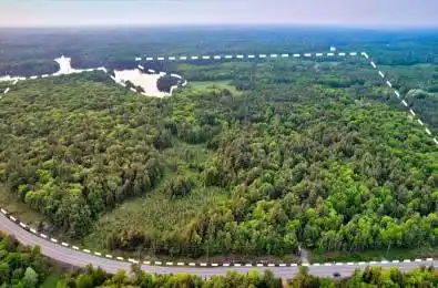 53 Birdwood Lane McDougall Ontario P2A 2W7