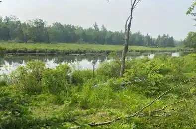 LOT 30 Highway N/A Madoc Ontario K0K 2K0