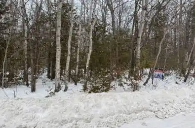 15 Tiny Beaches Road Tiny Ontario L9M 0L7