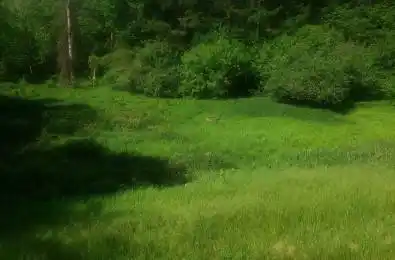 Part 3 Main Street Unit# 19904 Caledon Ontario L7K 0C2