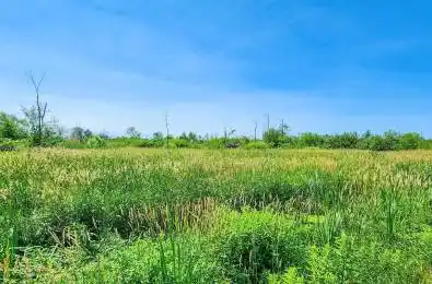 20200 Highway 48 N/A East Gwillimbury Ontario L0G 1M0