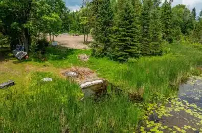 Pearce Road Kawartha Lakes Ontario K0M 2B0