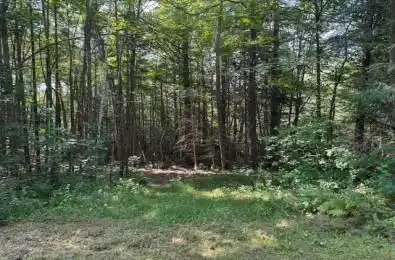 2613 Stisted Road McMurrich/Monteith Ontario P0A 1Y0