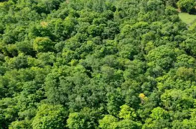 00 Maple Lane Tay Valley Ontario K0H 2B0