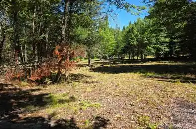 00 Whitney Road Perry Ontario P0A 1R0