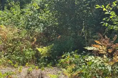 931 River Road Wasaga Beach Ontario L9Z 2P4