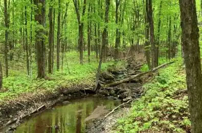 Lot 1 Colonial Road Minden Hills Ontario K0M 2K0