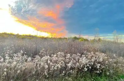 12657 Ort Road Niagara Falls Ontario L2E 6S6