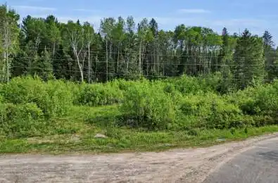 219 Doe Lake Road Armour Ontario P0A 1L0