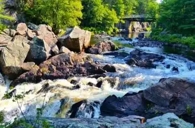 8101 Kings River Road Ramara Ontario L0K 2B0