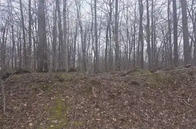 Lot 9 PT LT 25, CON Rd 8 N/A West Grey Ontario N0C 1H0