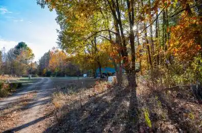 6 Grannys Lane Killaloe, Hagarty and Richards Ontario K0J 2A0