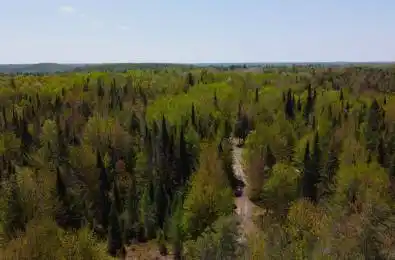 224 Madill Road Armour Ontario P0A 1C0