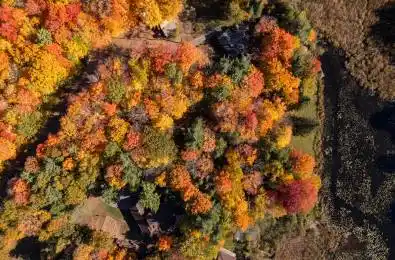 1980 South Riverside Drive Severn Ontario L0K 1E0