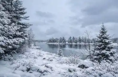 556 Hartley Bay Road Killarney Ontario P0M 1A0