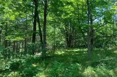 Lot 4 Leveque Road South Frontenac Ontario K0H 2W0