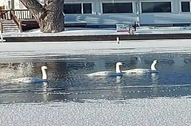 15 North Water Street Kawartha Lakes Ontario K0M 1K0