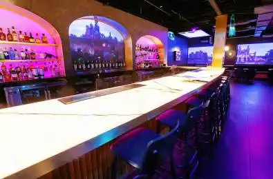 739 Queen Street Unit# 2nd Floor Toronto C01 Ontario M6J 1G1